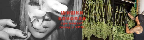 дживик Мегион