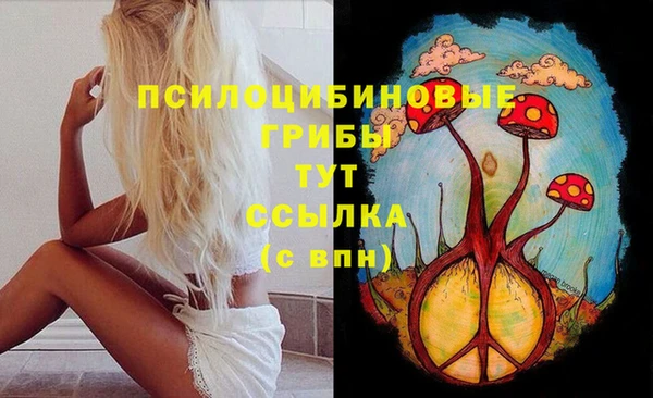 спайс Медногорск