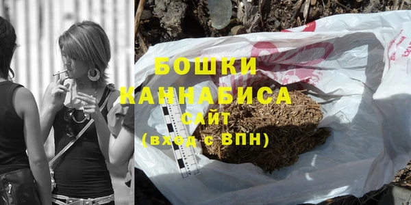 дживик Мегион