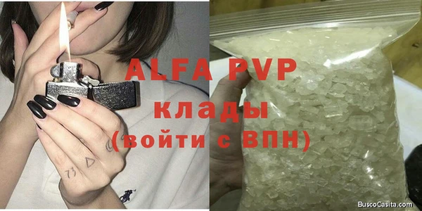 шишки Долгопрудный